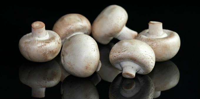 मशरूम - चमपिन्यान mushroomy