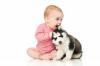 कुत्ता और बच्चा: आपसी अनुकूलन के नियम