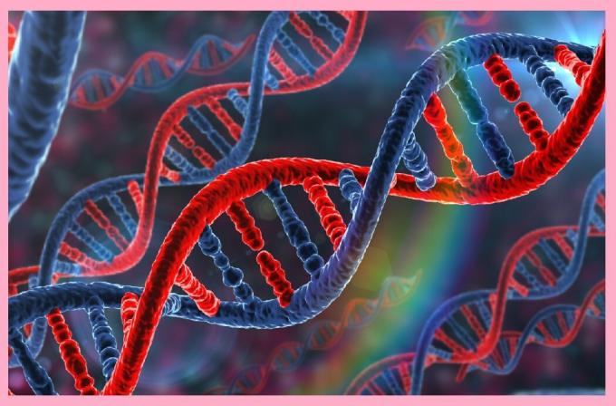 डीएनए खंडों (जीन) विरासत में मिला है, और रोग के लिए जानकारी है कि स्वास्थ्य के लिए जिम्मेदार है, और प्रवृत्ति को शामिल कर रहे हैं।