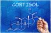 कैसे शरीर में मुख्य हार्मोन का समर्थन करने के: कोर्टिसोल के बारे में पूरा सच