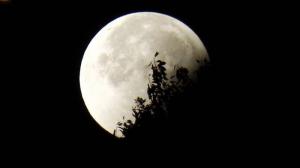 17 जुलाई के चंद्र ग्रहण: क्या राशि चक्र के प्रत्येक हस्ताक्षर की अपेक्षा