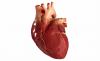 3 मुख्य कारक है कि कारण हृदय रोग