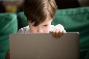 नेट में जाल: बच्चों के लिए सुरक्षित ऑनलाइन व्यवहार के टॉप -10 नियम