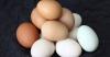 दूर विवादास्पद नुकसान अंडे के मिथक