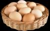 अंडे के गुणों में से 10। उनके अनिष्टमयता के मिथक