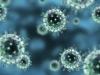 इन्फ्लूएंजा वायरस बी (कोलोराडो) 2019-2020 वर्ष में: सावधान!