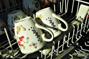 5 चीजें हैं जो आप डिशवॉशर में नहीं डाल सकते